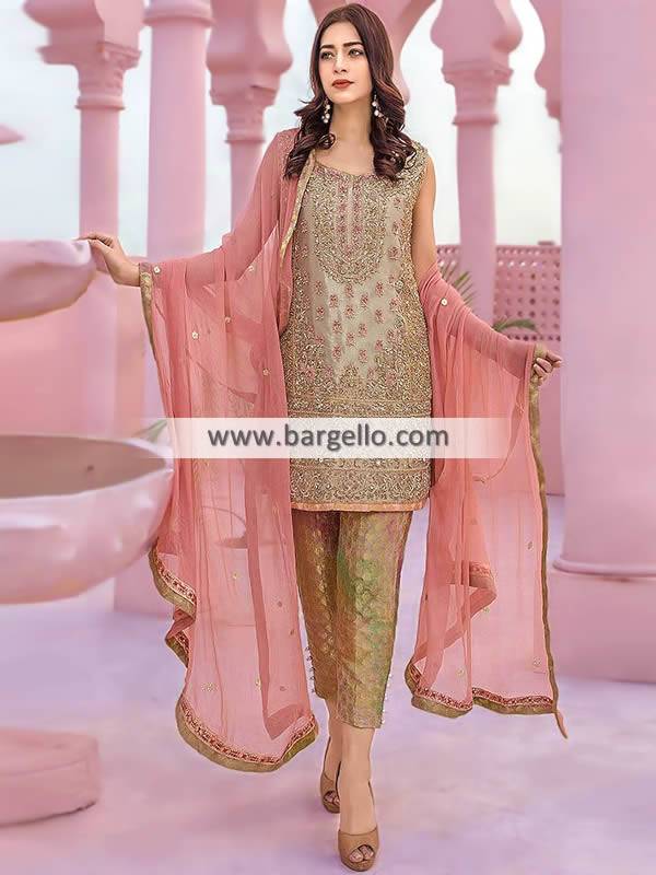 Light fancy dresses pakistani sale